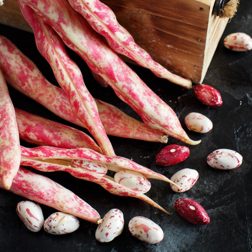 Marketing Photos Brochures [8888113] 061117_S1.jpg