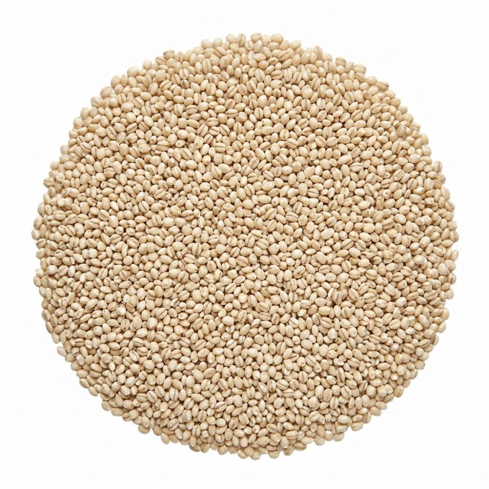 Pearl Barley 5 kg Epigrain