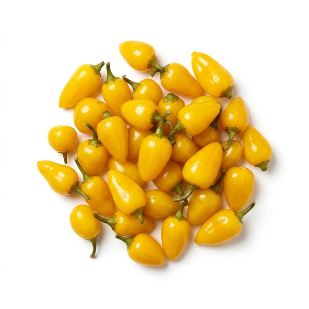 Rosemary Peppers Yellow 2.85 kg Viniteau