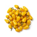 Rosemary Peppers Yellow 2.85 kg Viniteau
