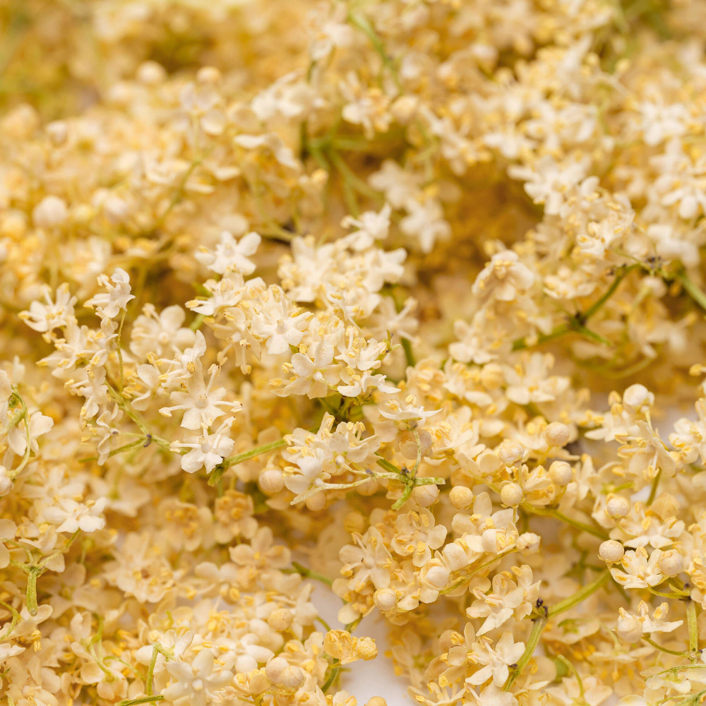 Elderflower Edible Flowers 5 g Lioflor