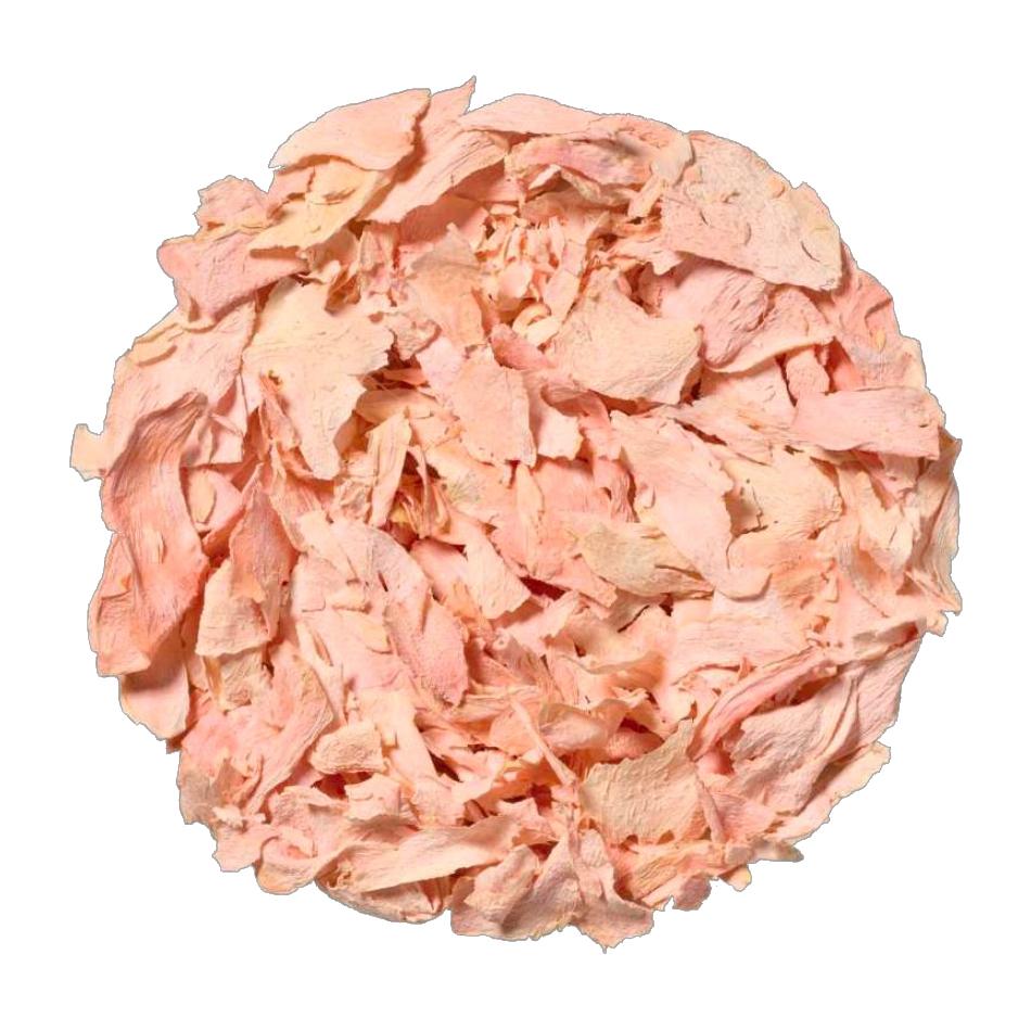 Pickled Ginger Freeze Dried 15 g Fresh-As