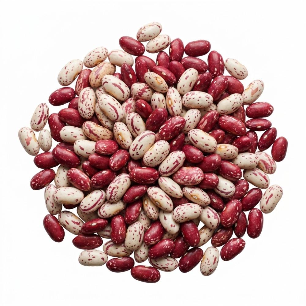 Cranberry Romano Beans 5 kg Epigrain