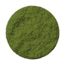 Mint Powder Freeze Dried 50 g Fresh-As