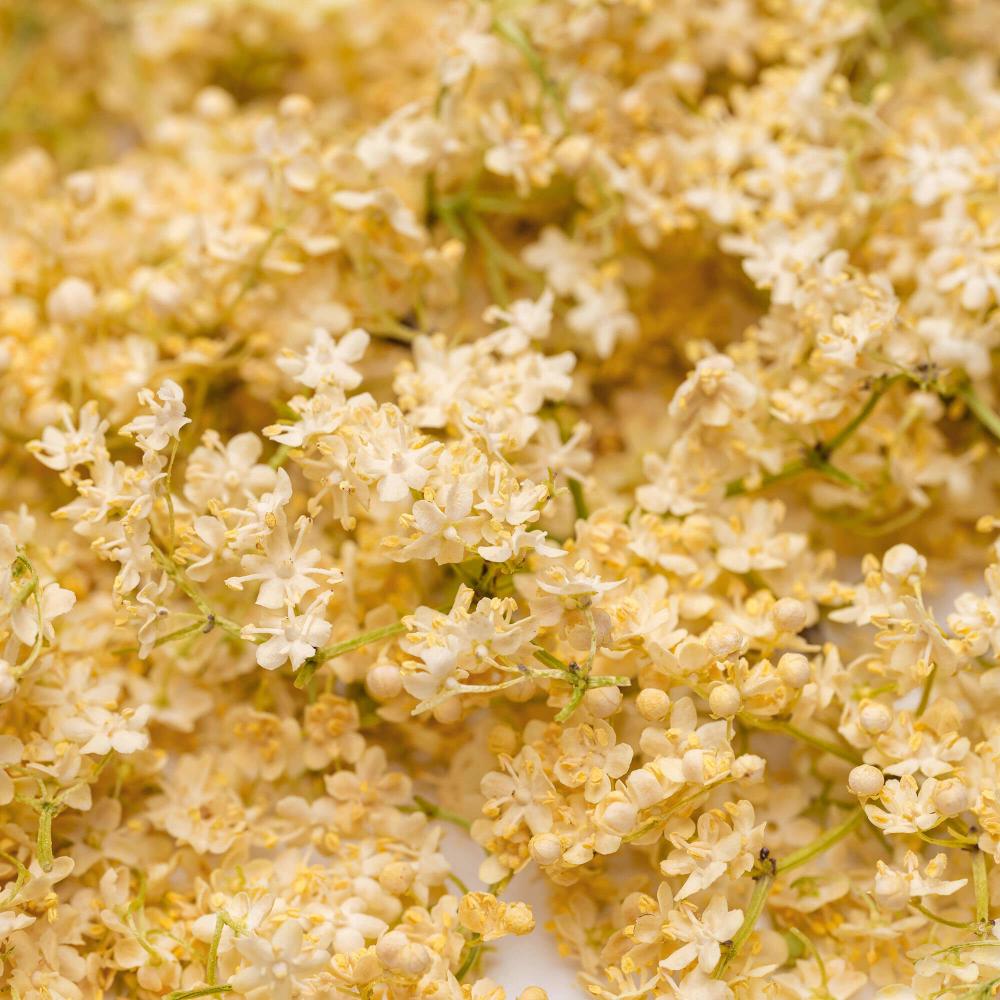 Elderflower Freeze Dried Edible Flowers 4 g Lioflor