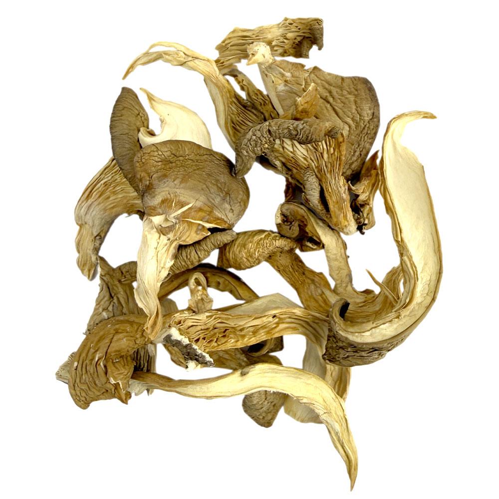 Oyster Mushrooms Dried 454 g 24K
