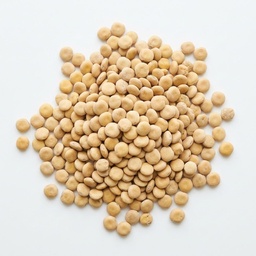 [061102] Lupini Beans Dry 5 kg Epigrain