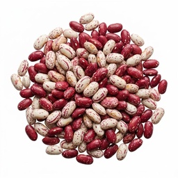 [061117] Cranberry Romano Beans 5 kg Epigrain