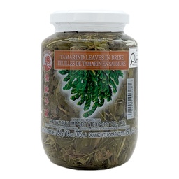 [101331] Tamarind Leaves in Brine 454 g Qualifirst
